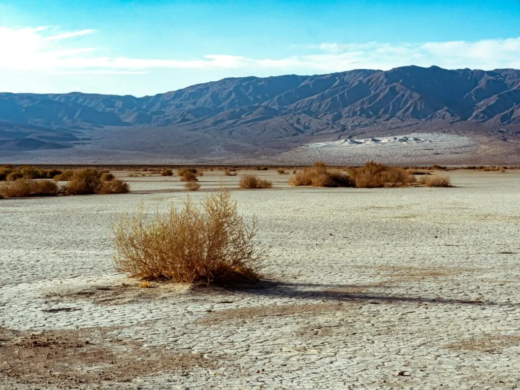 Dry desert landscape with shrubs and distant mountains.